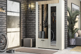 Шкаф прихожая 2Д  Франк, Ясень белый, БТС (Россия)